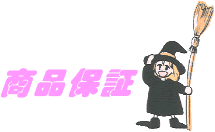 ���i�ۏ�